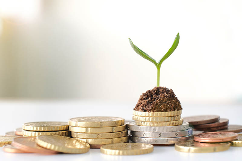 une image représentant la croissance financière à travers une petite plante poussant sur quelques centimes d'euro