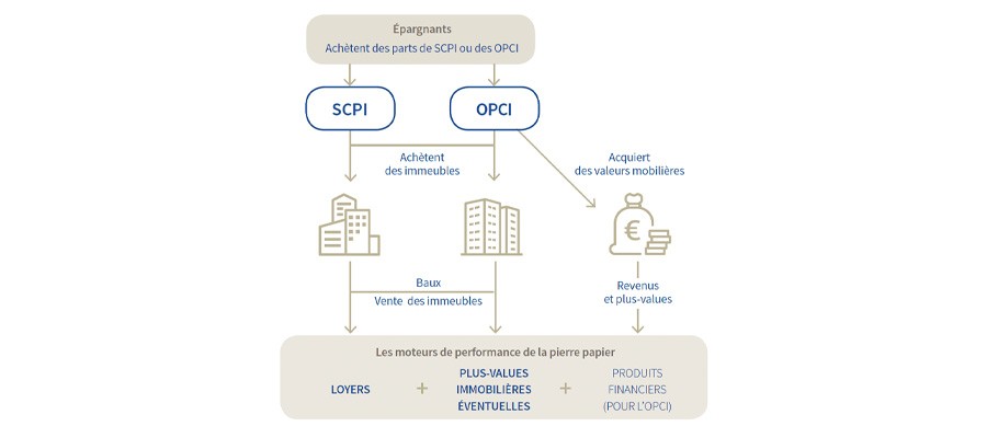 Comparatif OPCI et SCPI Différence OPCI et SCPI