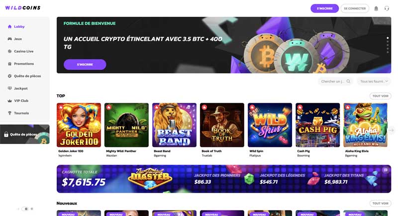 capture d'écran d'accueil de wildcoins